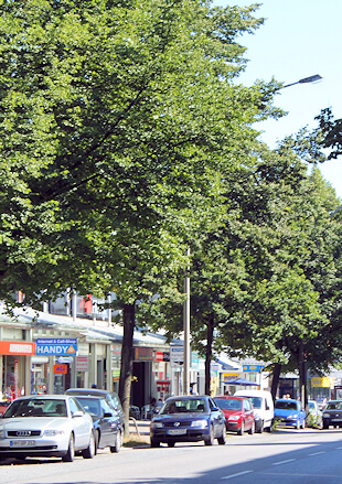 Schimmelbeseitigung in Barmbek