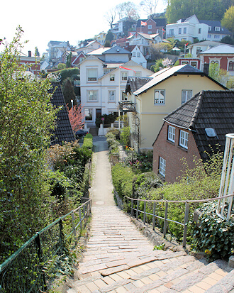 Schimmelbeseitigung in Blankenese