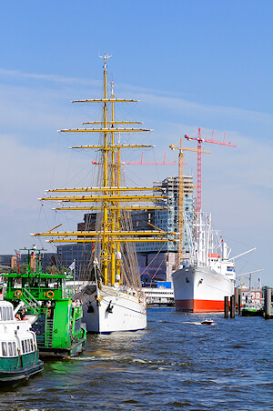 fachgerechte Schimmelbeseitigung in Hamburg