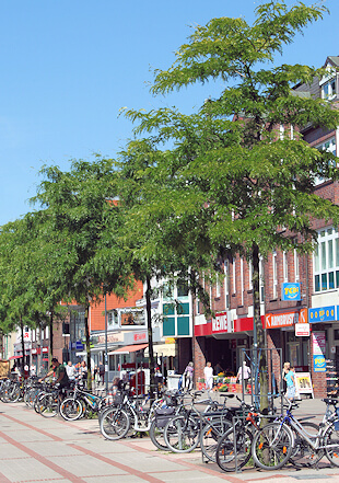 Schimmelbeseitigung in Rahlstedt