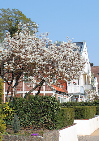 Renovierungsarbeiten und Malerarbeiten für Blankenese