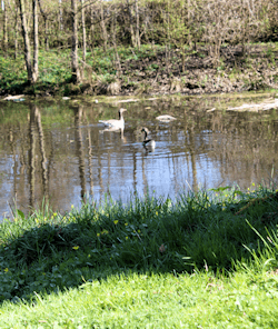 Ammersbek im Kreis Stormarn