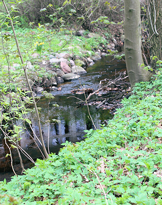 Schimmelbeseitigung in Billstedt