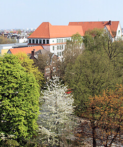 viel Natur in Hamburg Eppendorf