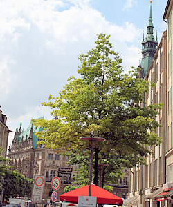 Mönckebergstraße Hamburg Altstadt
