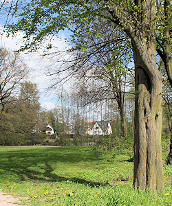 schönste Natur in Hamburg Jenfeld