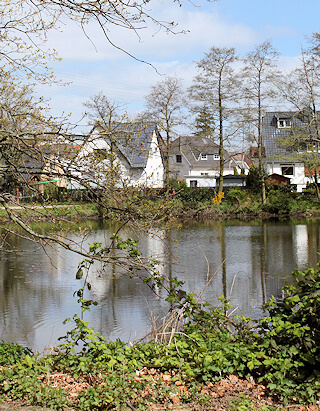 Schimmelbeseitigung in Jenfeld