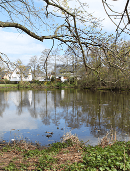 Renovierungen und Malerarbeiten im schönen Jenfeld