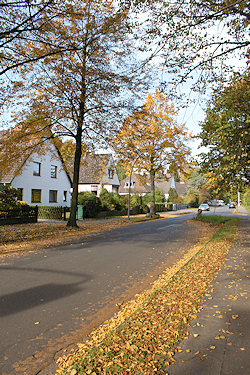 Hamburg Iserbrook - Arbeitsfeld Maler Bollers