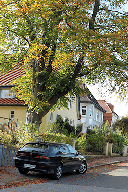 auch in Groß Flottbek arbeitet Maler Boller gern