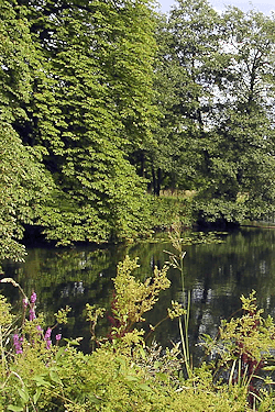 Hamburg Wohldorf-Ohlstedt - pure Natur