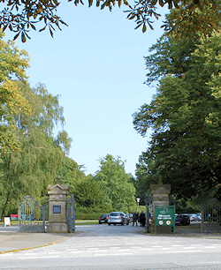 Hamburg Ohlsdorf - auch hier arbeitet Maler Boller