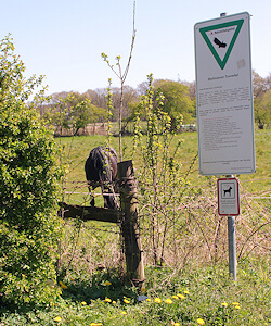 Naturschutzgebiet in Hamburg Rahlstedt