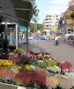 Einkaufsstraße in Rissen