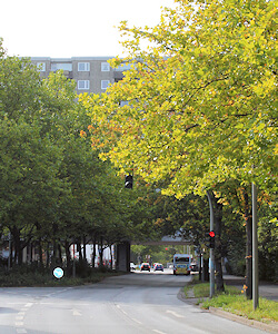 Steilshoop: Straßendurchführung unter Hochhausbau