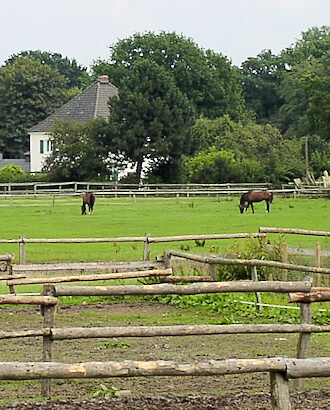 Schimmelbeseitigung in Sülldorf