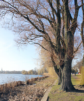 Schimmelbeseitigung in Uhlenhorst